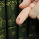 Illustration for article titled How a Librarian Figured Out What Was Written in This Microscopic Book